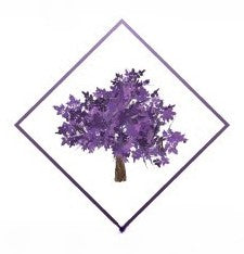 ThePurpleTreeShop