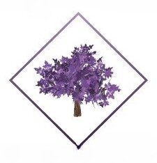 The Purple Tree Shop